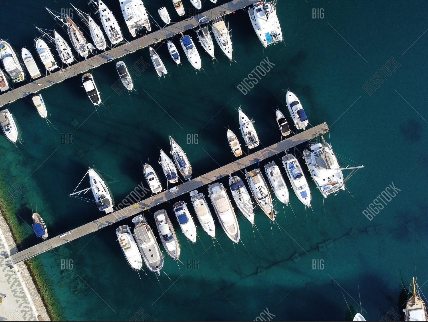 yachts in marina